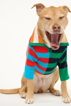 STAUD PET HAMPTON SWEATER | CABANA STRIPE MULTI><noscript><img width=