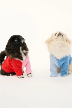 STAUD PET SHOKO SWEATER | PERIWINKLE MULTI><noscript><img width=