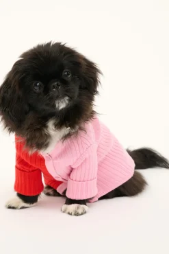 STAUD PET SHOKO SWEATER | POPPY ROSEBUD> Pet Clothing