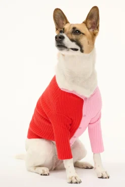 STAUD PET SHOKO SWEATER | POPPY ROSEBUD><noscript><img width=