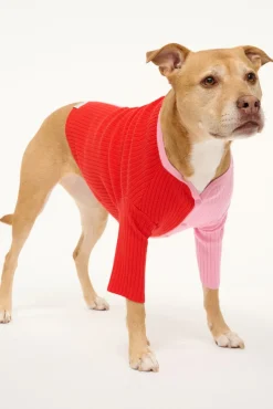 STAUD PET SHOKO SWEATER | POPPY ROSEBUD><noscript><img width=