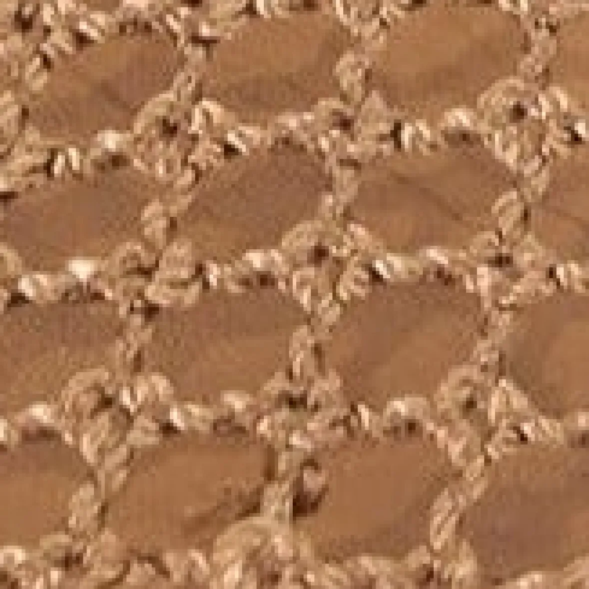 STAUD ALBA BALLET TAN NETTING> Mules & Flats