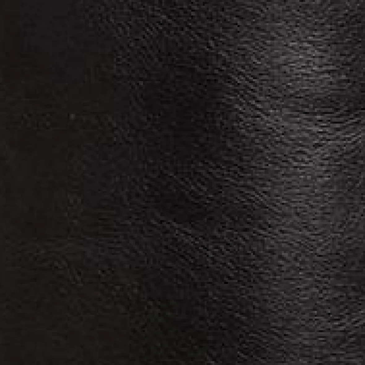 STAUD WALLY BOOT |> Boots