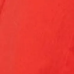 STAUD WELLS DRESS RED ROSE><noscript><img width=